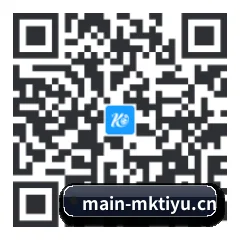 系统版 iOS 二维码